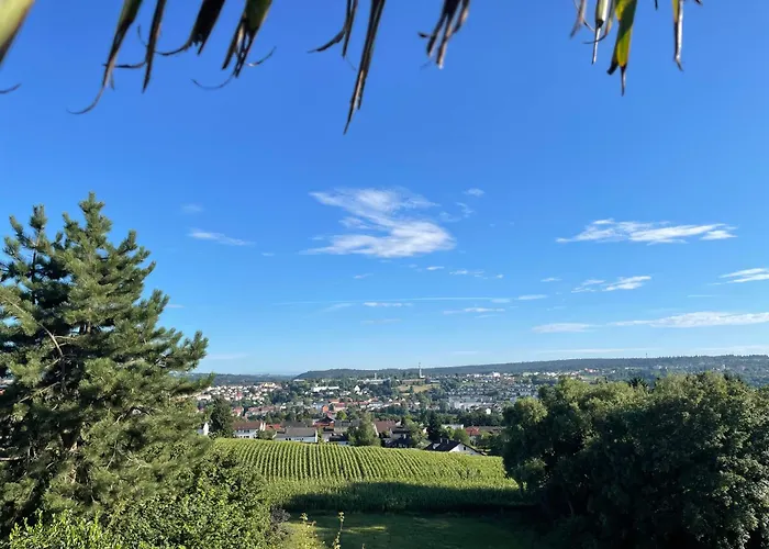 Tiny-house Mit Alpen- Stadt- Und Poolblick , Wlan Feriehus Passau